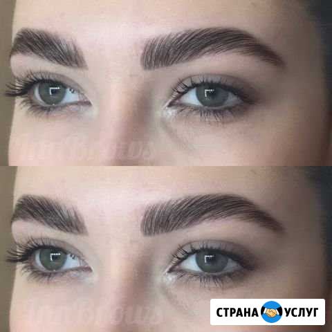 Брови Пятигорск - изображение 1