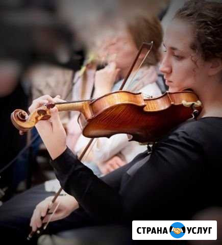 Учитель скрипки Воронеж - изображение 1