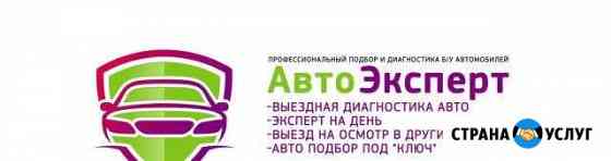 Автоподбор в Туле,работаем со всеми регионами РФ Тула