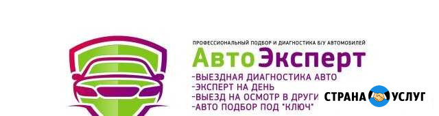 Автоподбор в Туле,работаем со всеми регионами РФ Тула - изображение 1
