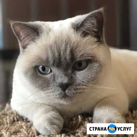Вязка Преображенская - изображение 1