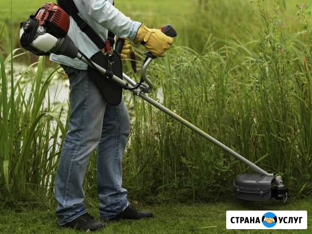 Скашу траву своим триммером распилю дрова пилой Буй - изображение 1