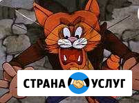 Удаление клопов, тараканов, блох, крыс, мышей и пр Красногорск - изображение 1