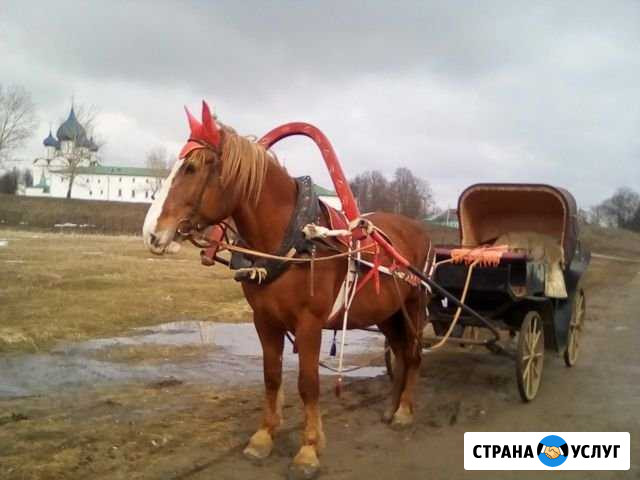 Экскурсия по Суздалю Суздаль - изображение 1