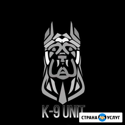 Дрессировка.Воспитании собак.Корректировка Владикавказ - изображение 1