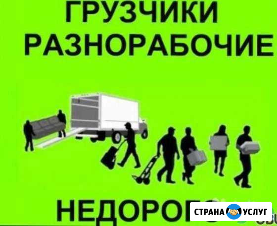 Грузчики Салават - изображение 1