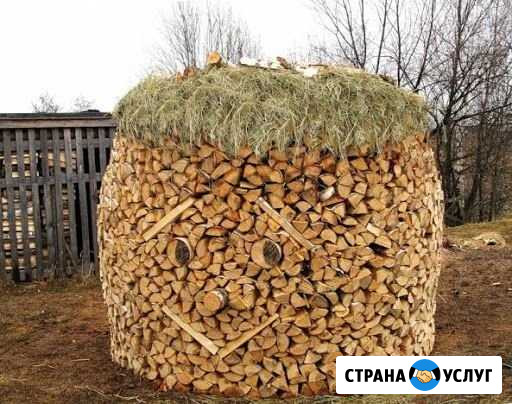 Дрова. Социальные льготы Архангельск - изображение 1