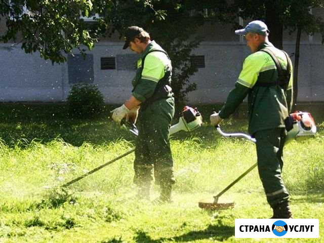 Покос травы Магнитогорск - изображение 1
