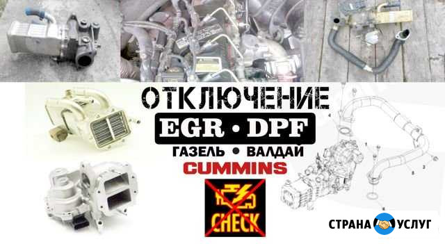 Отключение егр-прошивка-Газель cummins ISF Валдай Екатеринбург - изображение 1