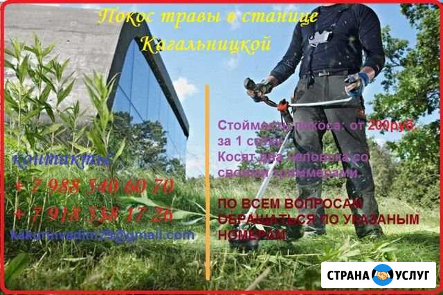 Покос травы в станице Кагальницкой Кагальницкая - изображение 1