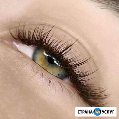 Ресницы, Брови, Иркутск Иркутск - изображение 1