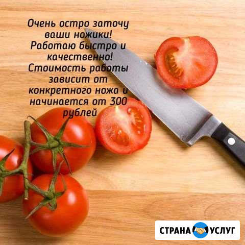 Заточка ножей Елизово - изображение 1