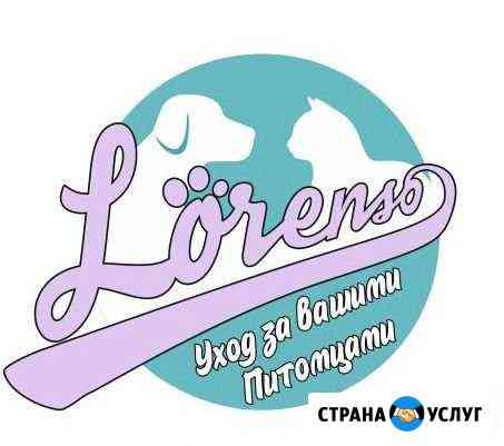 Груминг в Дагомысе Сочи