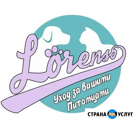 Груминг в Дагомысе Сочи - изображение 1