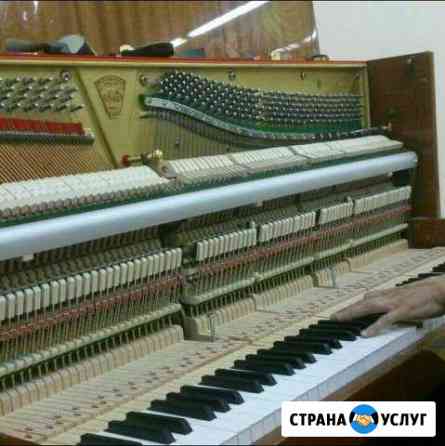 Настройка фортепиано и роялей Черкесск