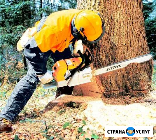 Спил деревьев, покос травы Краснодар - изображение 1