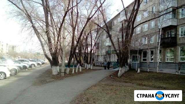 Спил(кронирование) деревье Минусинск - изображение 1