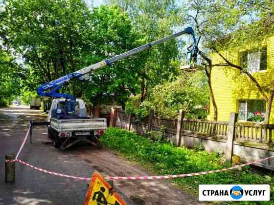 Спил деревьев любой сложности Санкт-Петербург