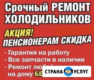 Ремонт холодильников. На дому. Гарантия Нижнекамск - изображение 1