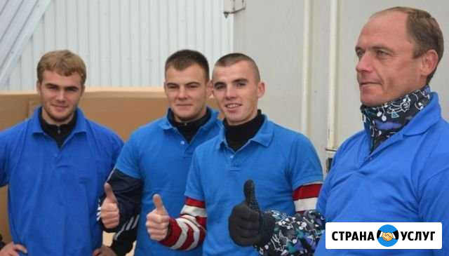 Грузоперевозки,Грузчики,Вывоз мусора,Переезды Хабаровск - изображение 1