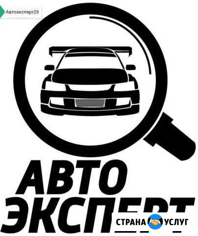 Диагностика автомобиля Северодвинск - изображение 1