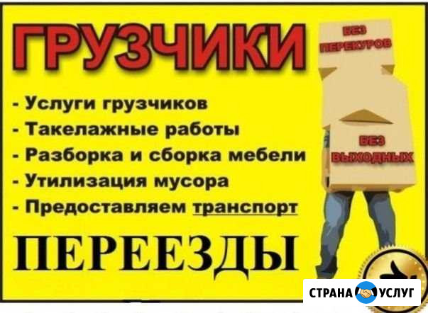 Грузчики, доставка, переезды, вывоз мусора Вологда - изображение 1