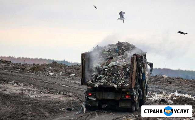 Вывоз Мусора/Большой Опыт Работ Волжский Волгоградской области - изображение 1