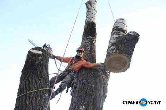 Удаление деревьев на кладбищах Смоленск
