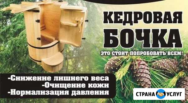 Фито-бочка Соликамск - изображение 1