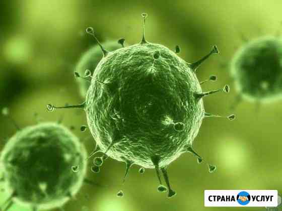 Дизинсекция, Дизинфекция, Диратизация Курган
