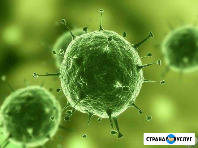 Дизинсекция, Дизинфекция, Диратизация Курган - изображение 1