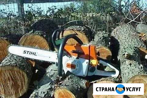 Спиливаем деревья, обрезаем ветви Владикавказ - изображение 1