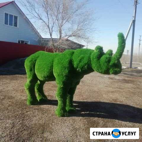 Изготовление топиарных фигур Магнитогорск - изображение 1