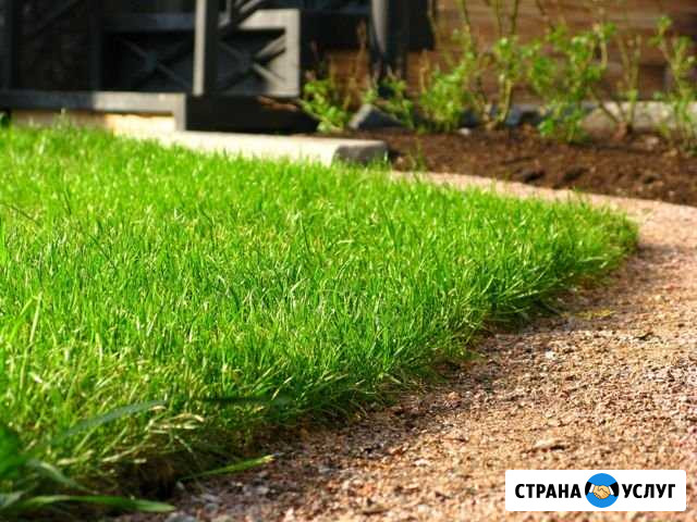 Устройство Газона Бийск - изображение 1