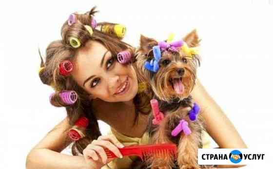 Стрижка собак и кошек Анапа