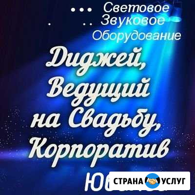 Услуги ведущей,диджея.Свет.Звук Димитровград - изображение 1