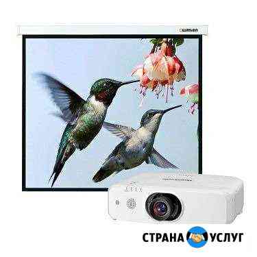 Аренда проектора с экраном Астрахань