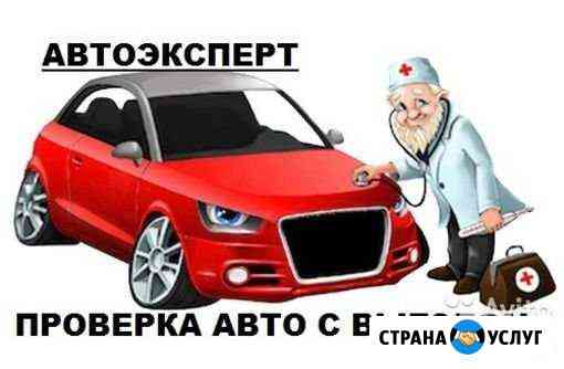 Авто подбор автомобилей Кострома