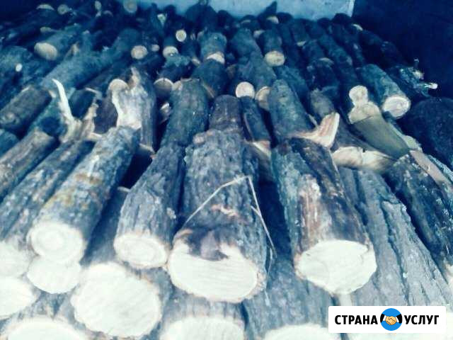 Доставка дров Ростов-на-Дону - изображение 1