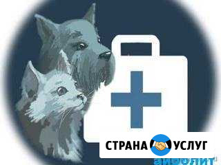 Скорая ветеринарная помощь Ставрополь - изображение 1