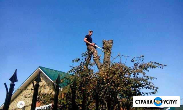 Спил деревьев, кронирование, удаление в обнинске Обнинск - изображение 1