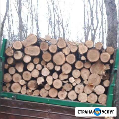 Дрова Бузулук - изображение 1