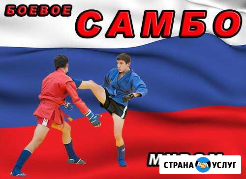 Боевое самбо Муром - изображение 1