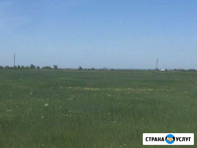 Пакос травы.Спил деревьев Волжский Волгоградской области - изображение 1