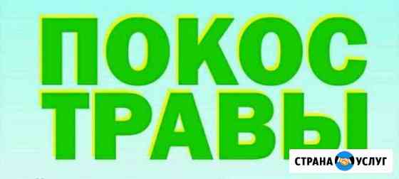 Покос травы Саки