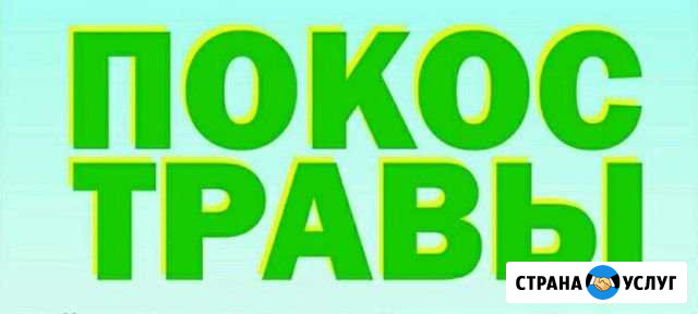 Покос травы Саки - изображение 1
