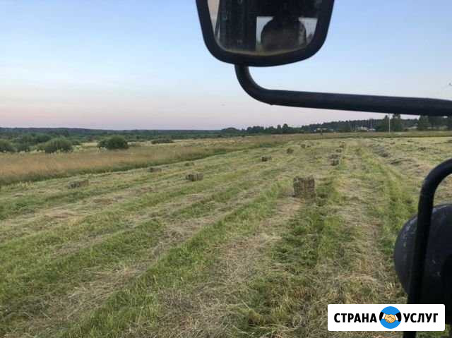Сено для животных в тюках Киржач - изображение 1