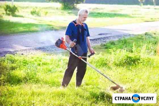 Скос травы Димитровград