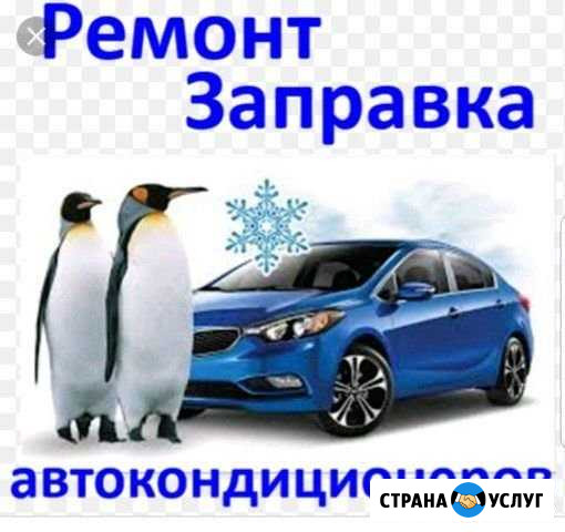 Ремонт автокондиционеров Белая Калитва - изображение 1