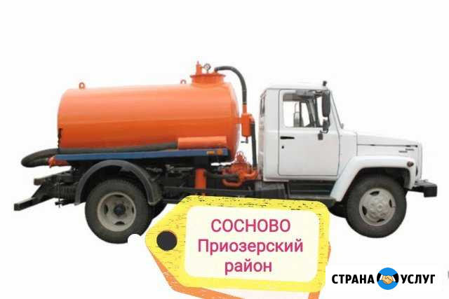 Ассенизаторские услуги в Сосново Сосново - изображение 1